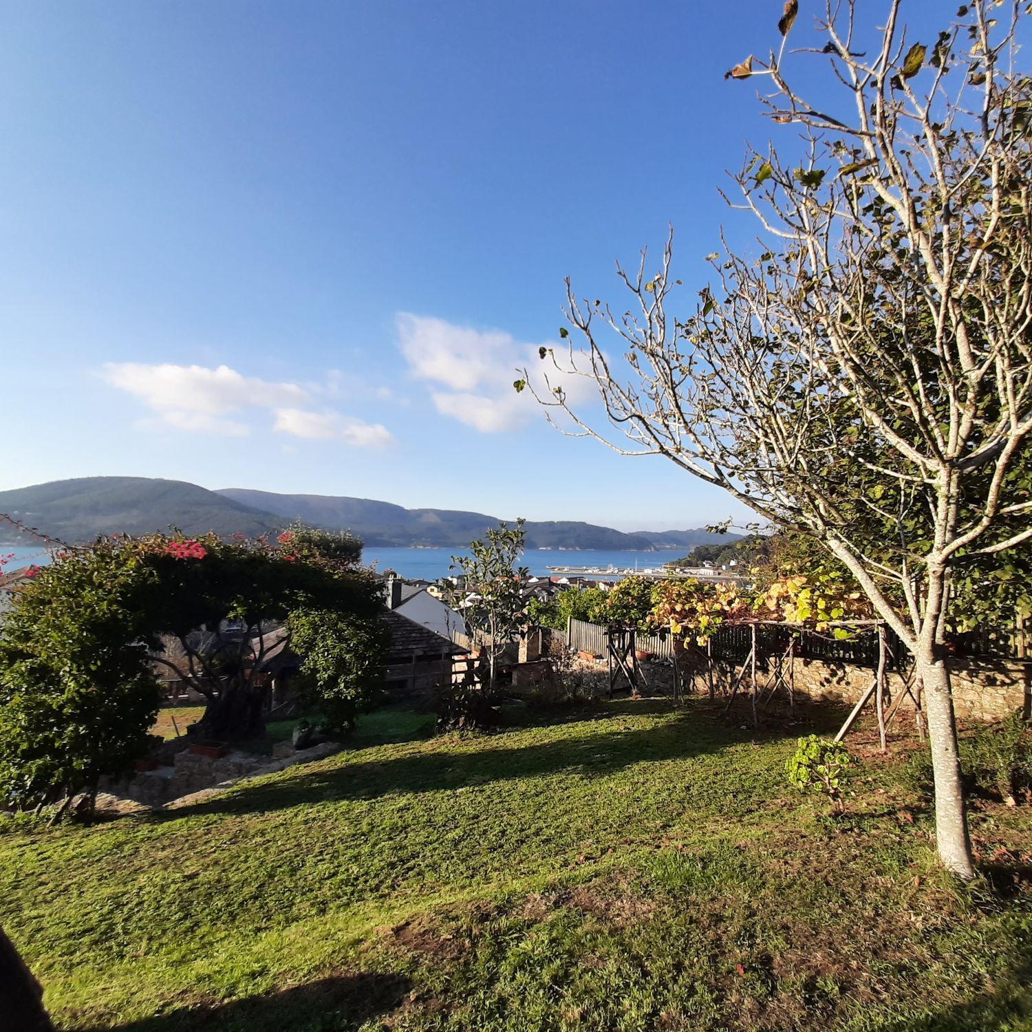 Casas o chalets-Venta-O Vicedo-2418659-Foto-25