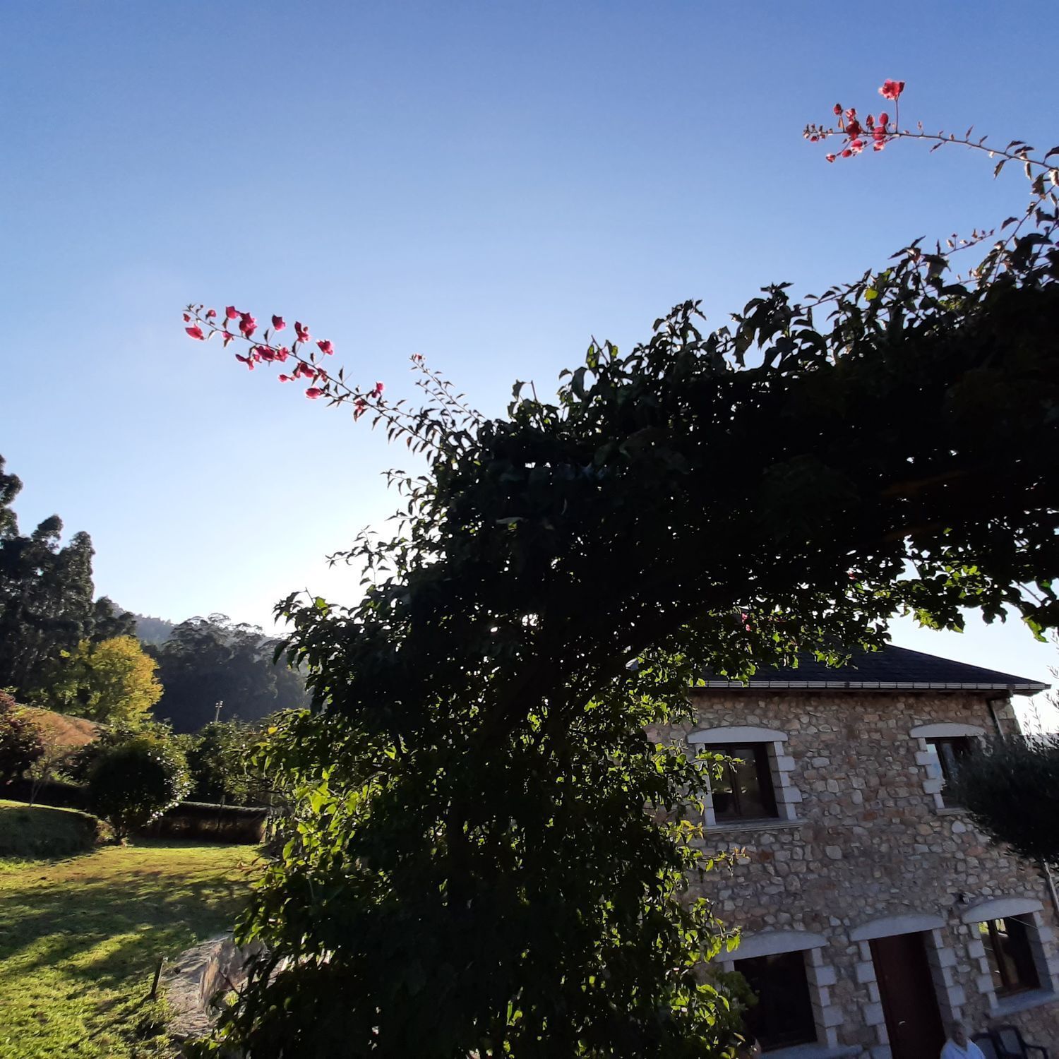 Casas o chalets-Venta-O Vicedo-2418659-Foto-28