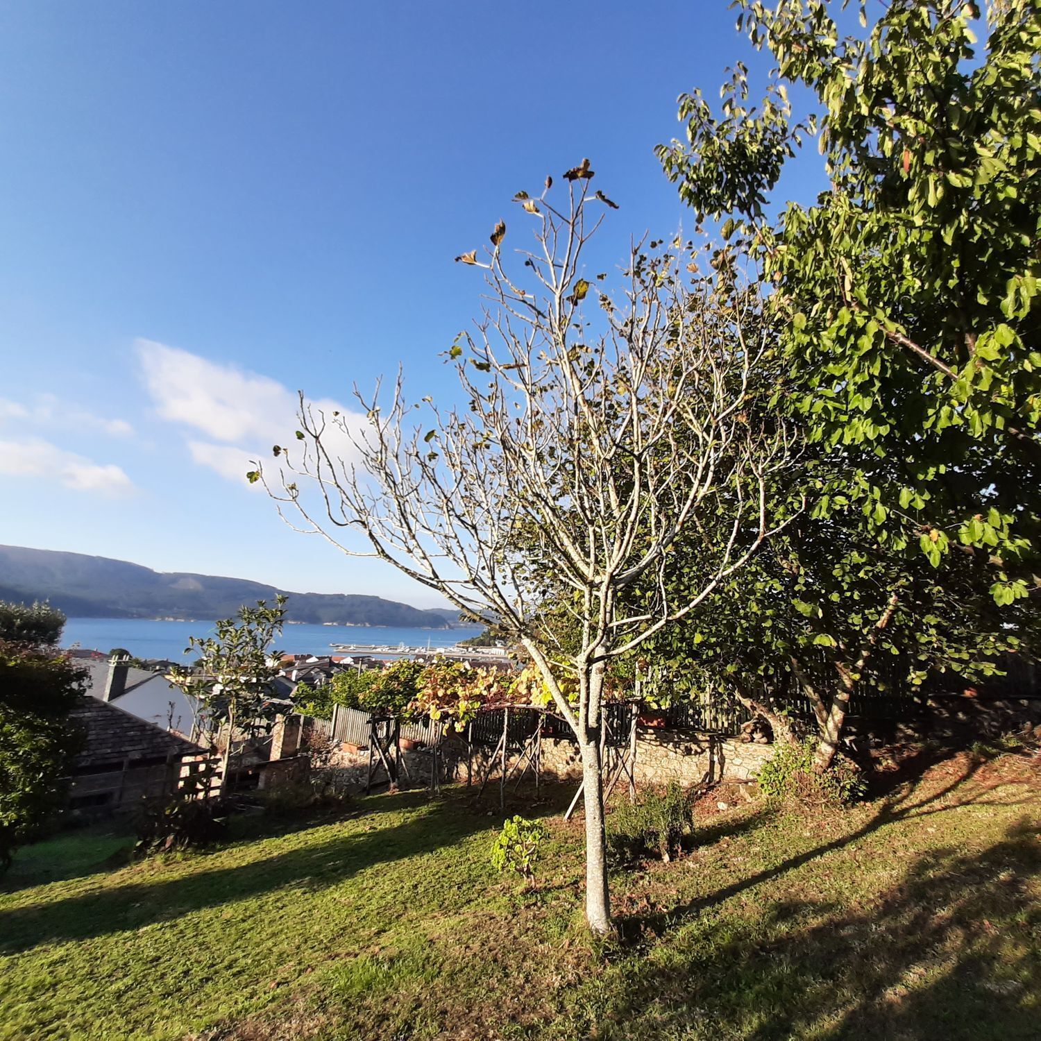 Casas o chalets-Venta-O Vicedo-2418659-Foto-26