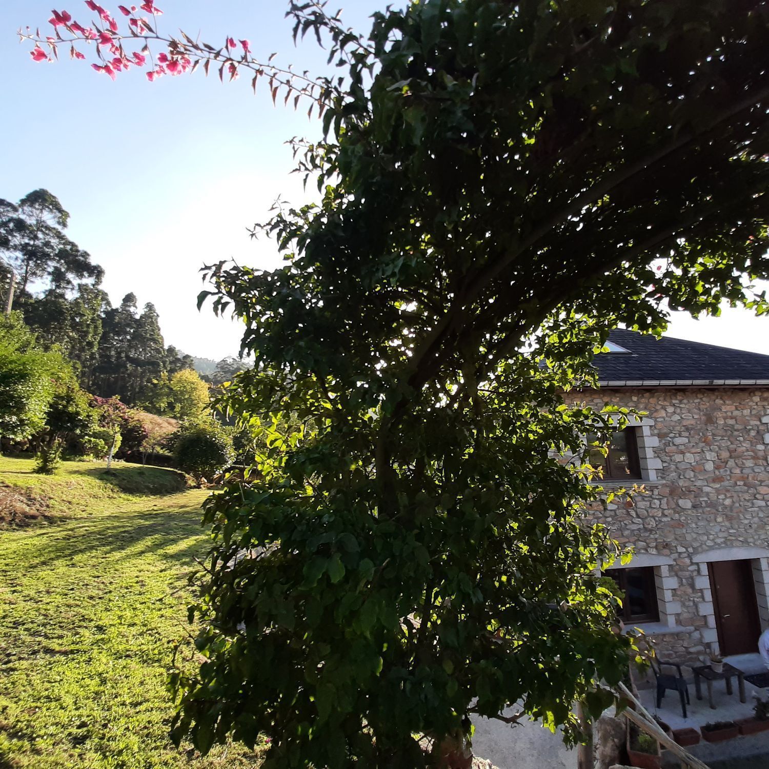 Casas o chalets-Venta-O Vicedo-2418659-Foto-29