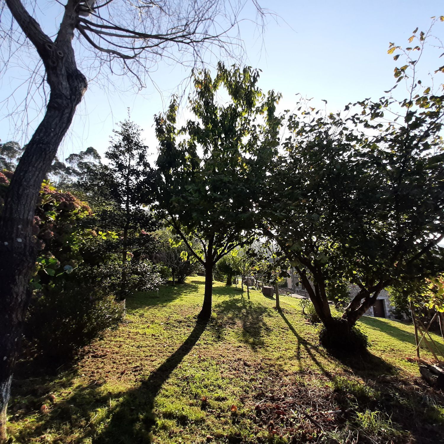 Casas o chalets-Venta-O Vicedo-2418659-Foto-27