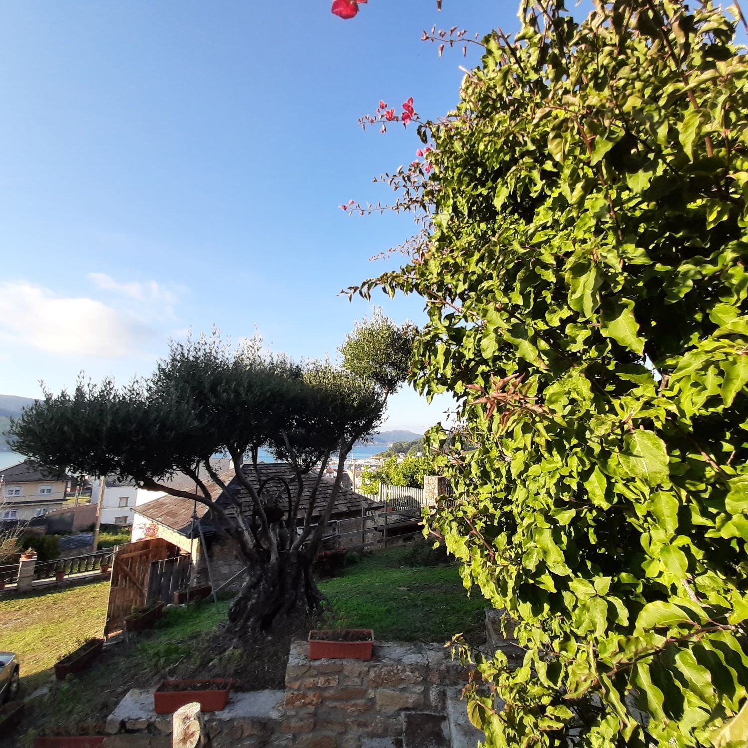 Casas o chalets-Venta-O Vicedo-2418659-Foto-31