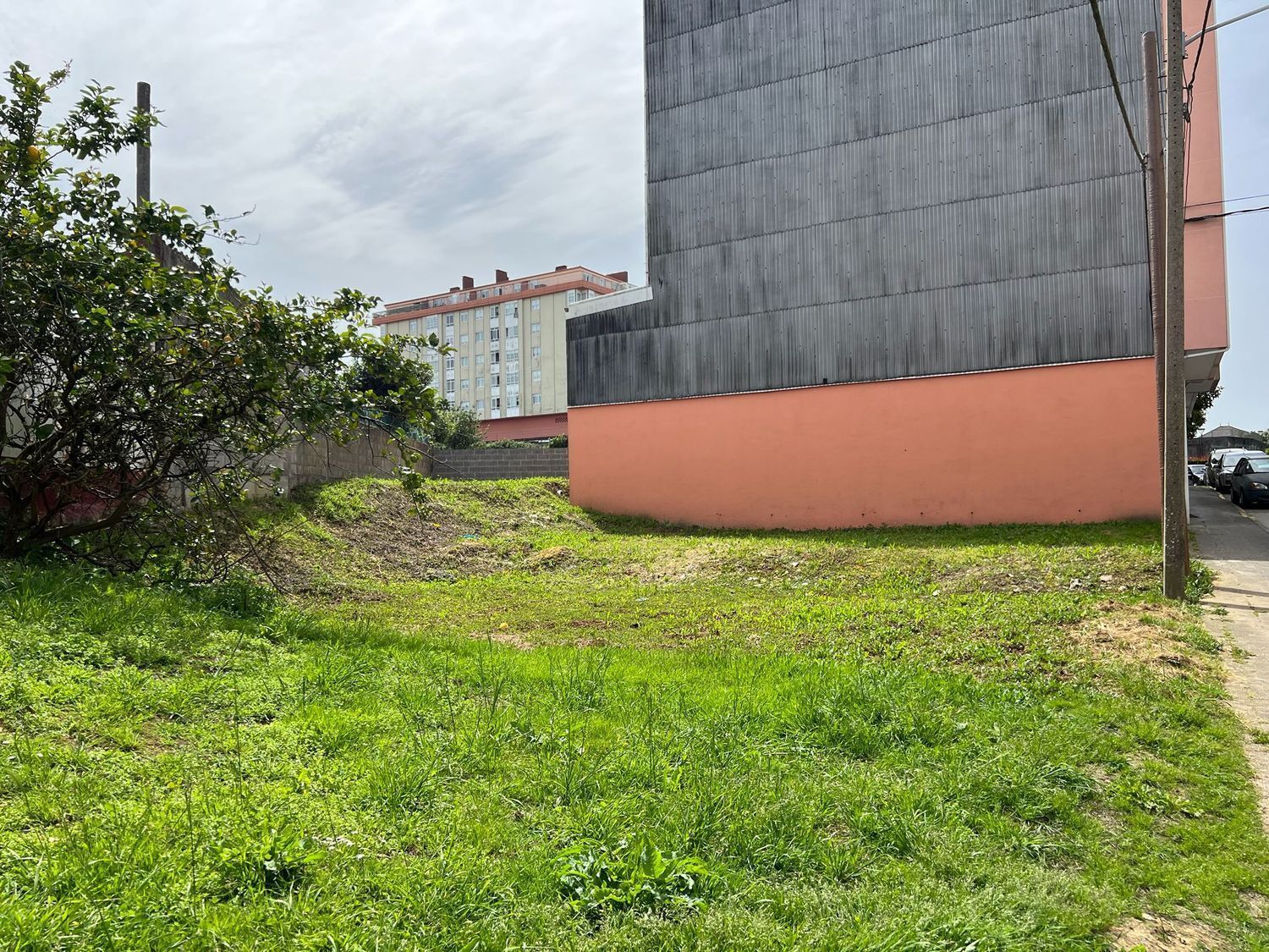 Fincas y solares-Venta-NarÃ³n-2418662-Foto-2