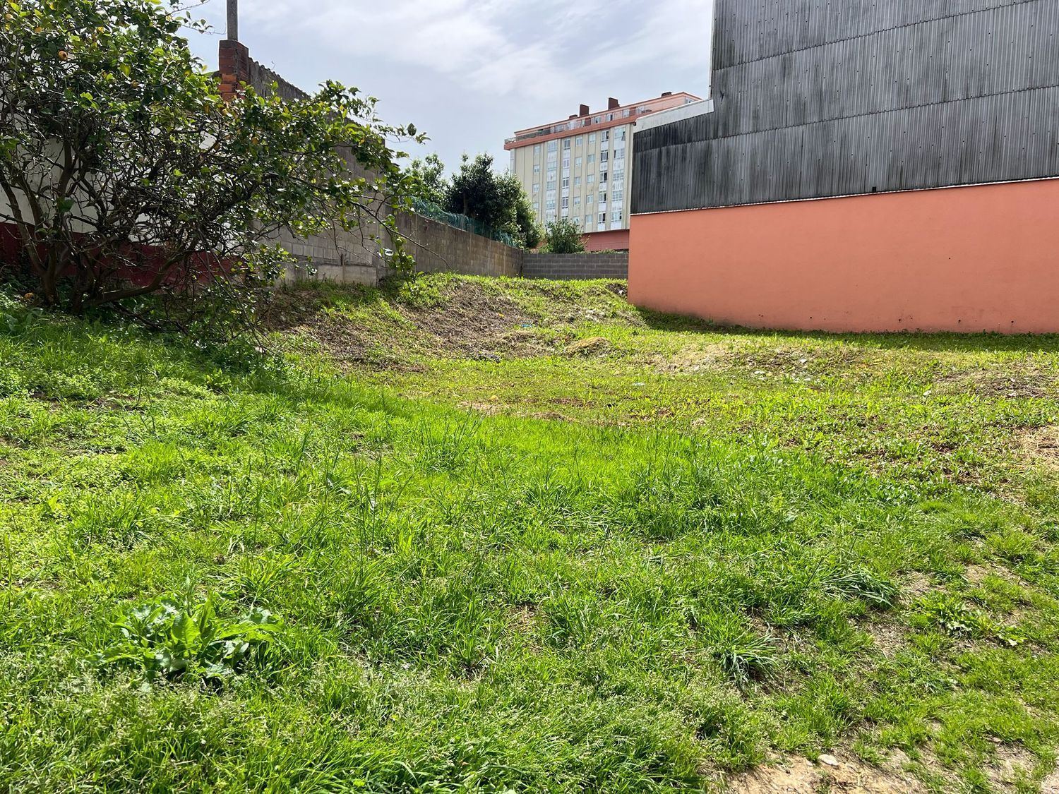 Fincas y solares-Venta-NarÃ³n-2418662-Foto-5