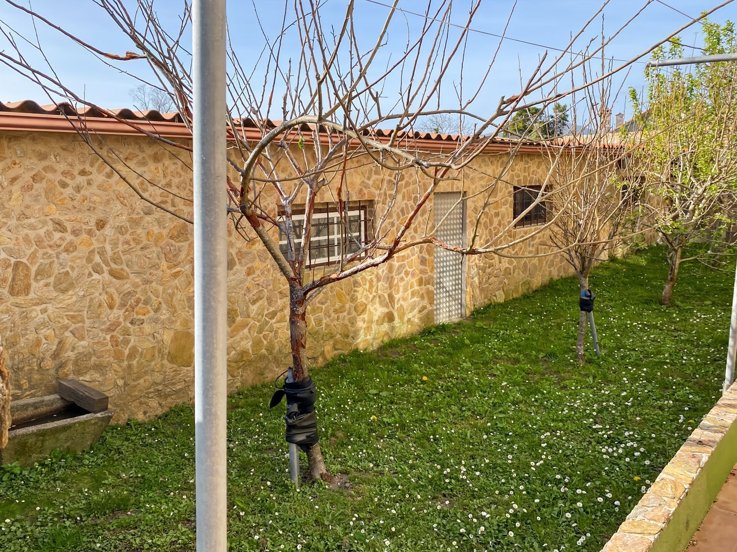 Casas o chalets-Venta-Cabrera d