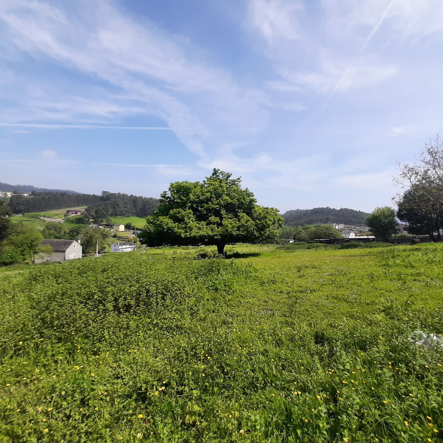 Pisos-Venta-Viveiro-2418671-Foto-15