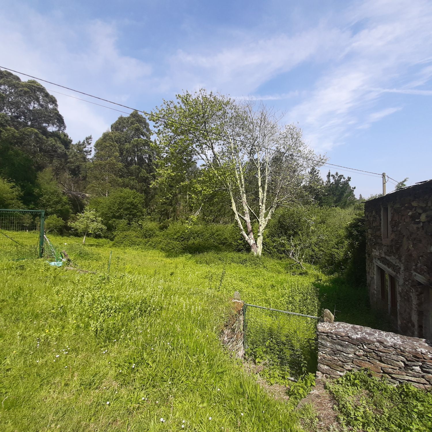 Pisos-Venta-Viveiro-2418671-Foto-16