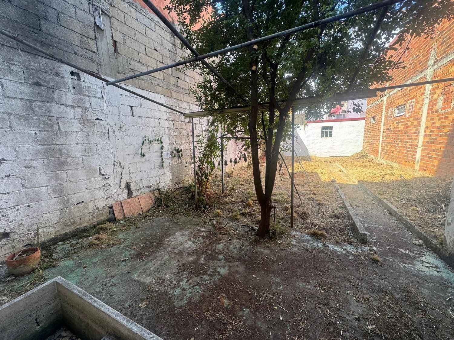 Negocios-Venta-Ferrol-2418677-Foto-7