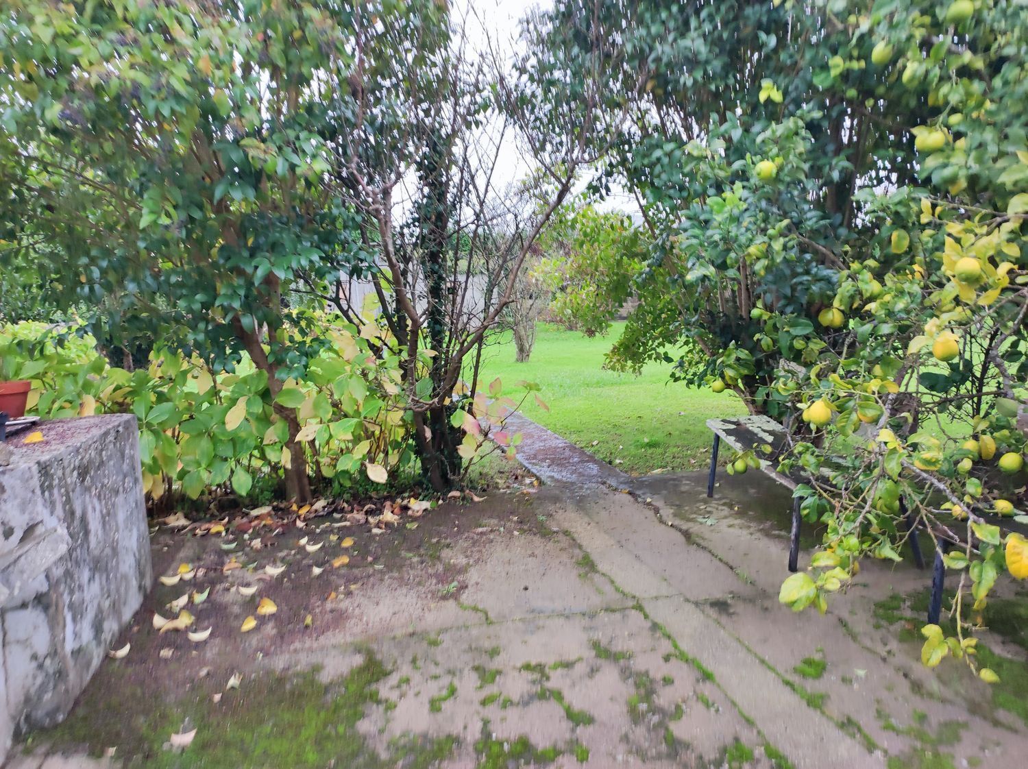 Casas o chalets-Venta-Oleiros-2418680-Foto-4