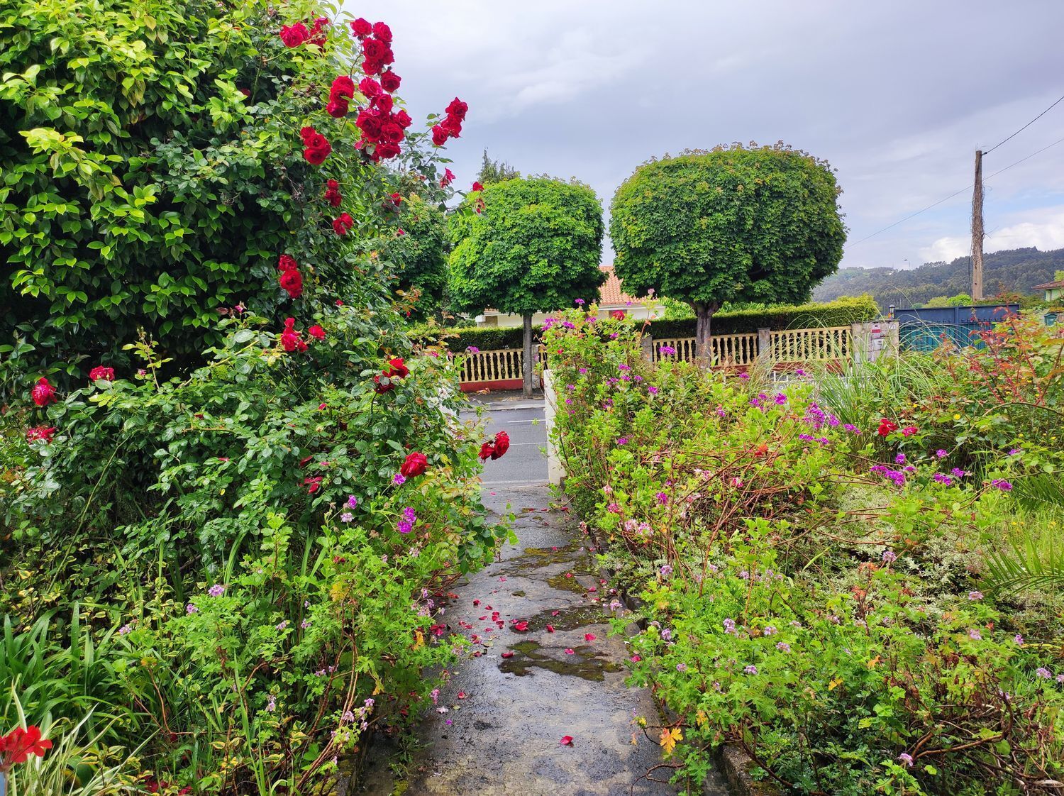 Casas o chalets-Venta-Oleiros-2418680-Foto-25
