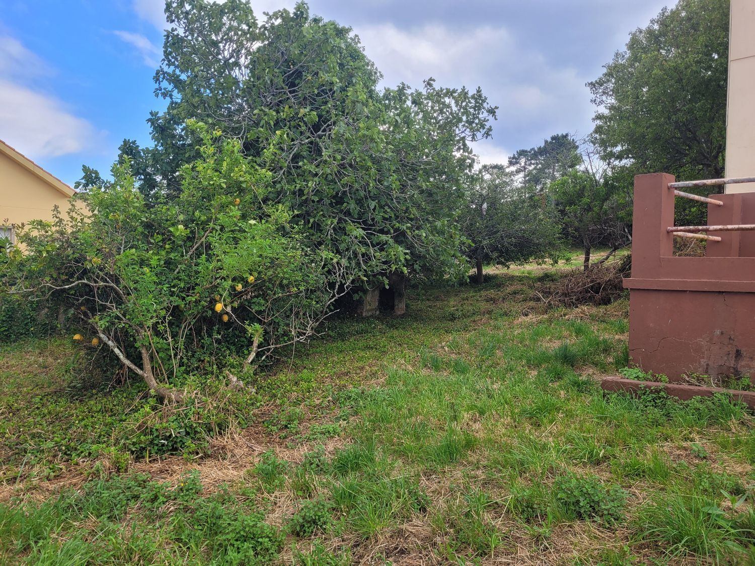 Casas o chalets-Venta-Ribeira-2418707-Foto-39