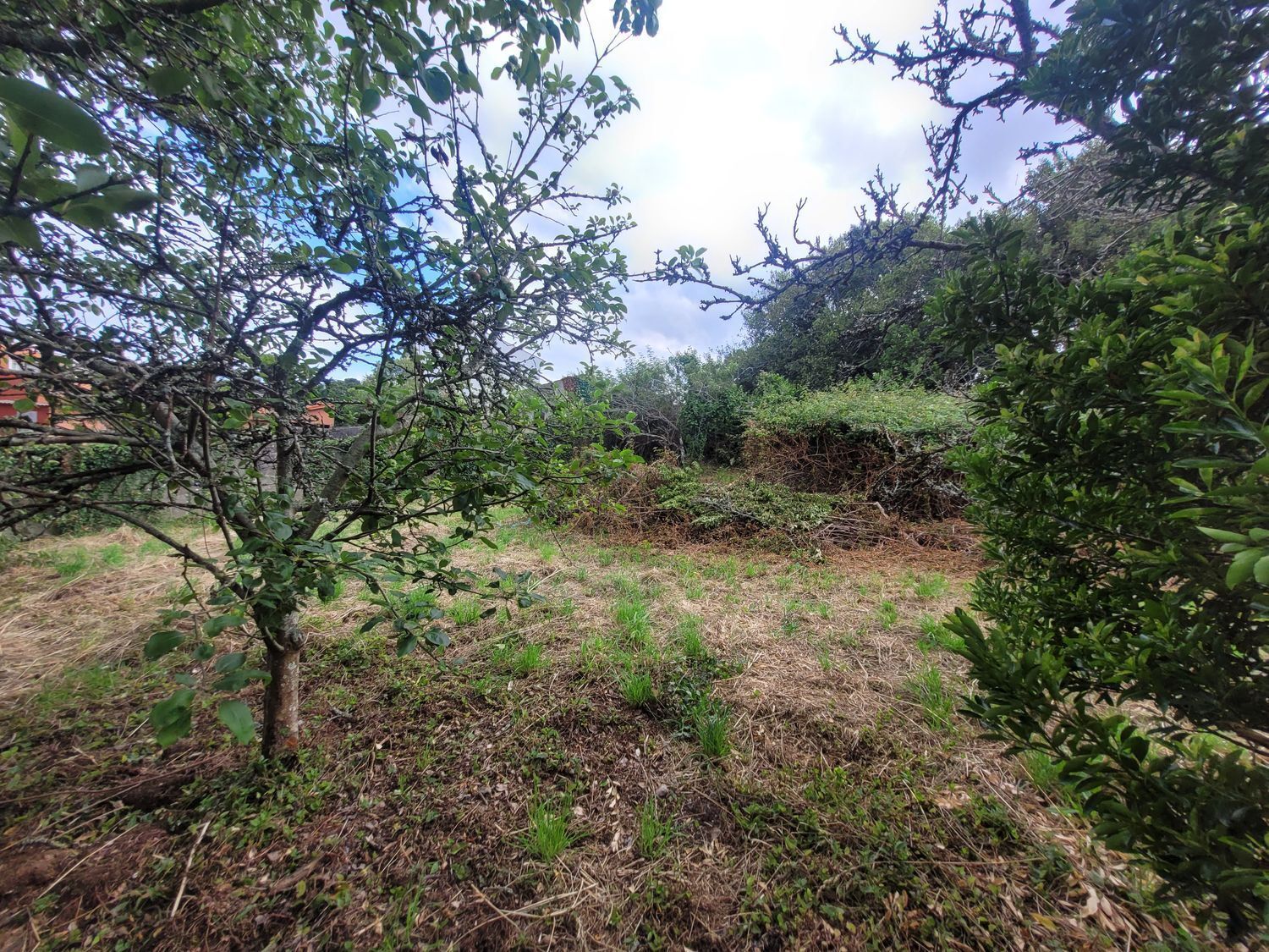 Casas o chalets-Venta-Ribeira-2418707-Foto-59