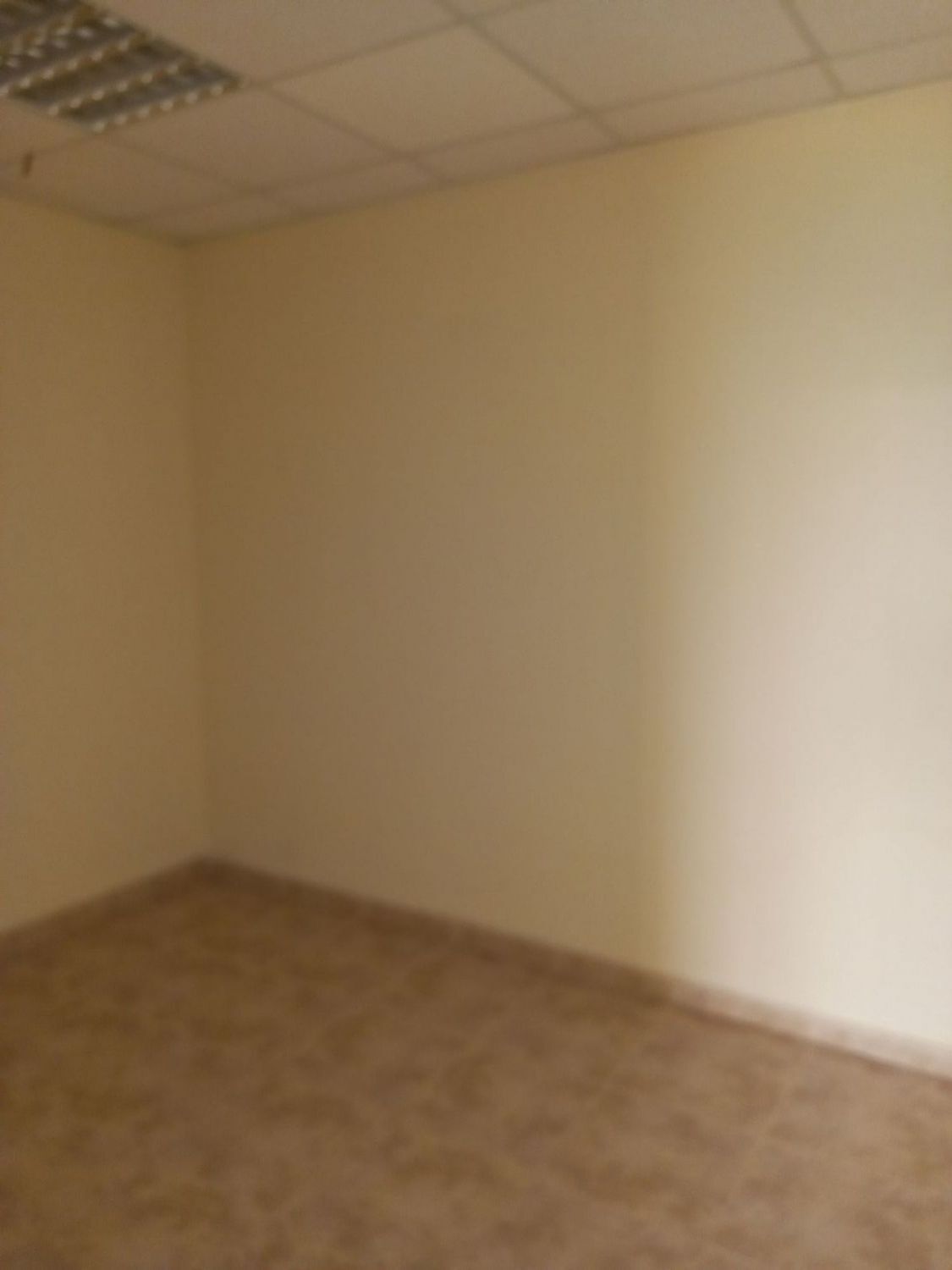 Oficinas-Alquiler-Santiago de Compostela-2418755-Foto-3