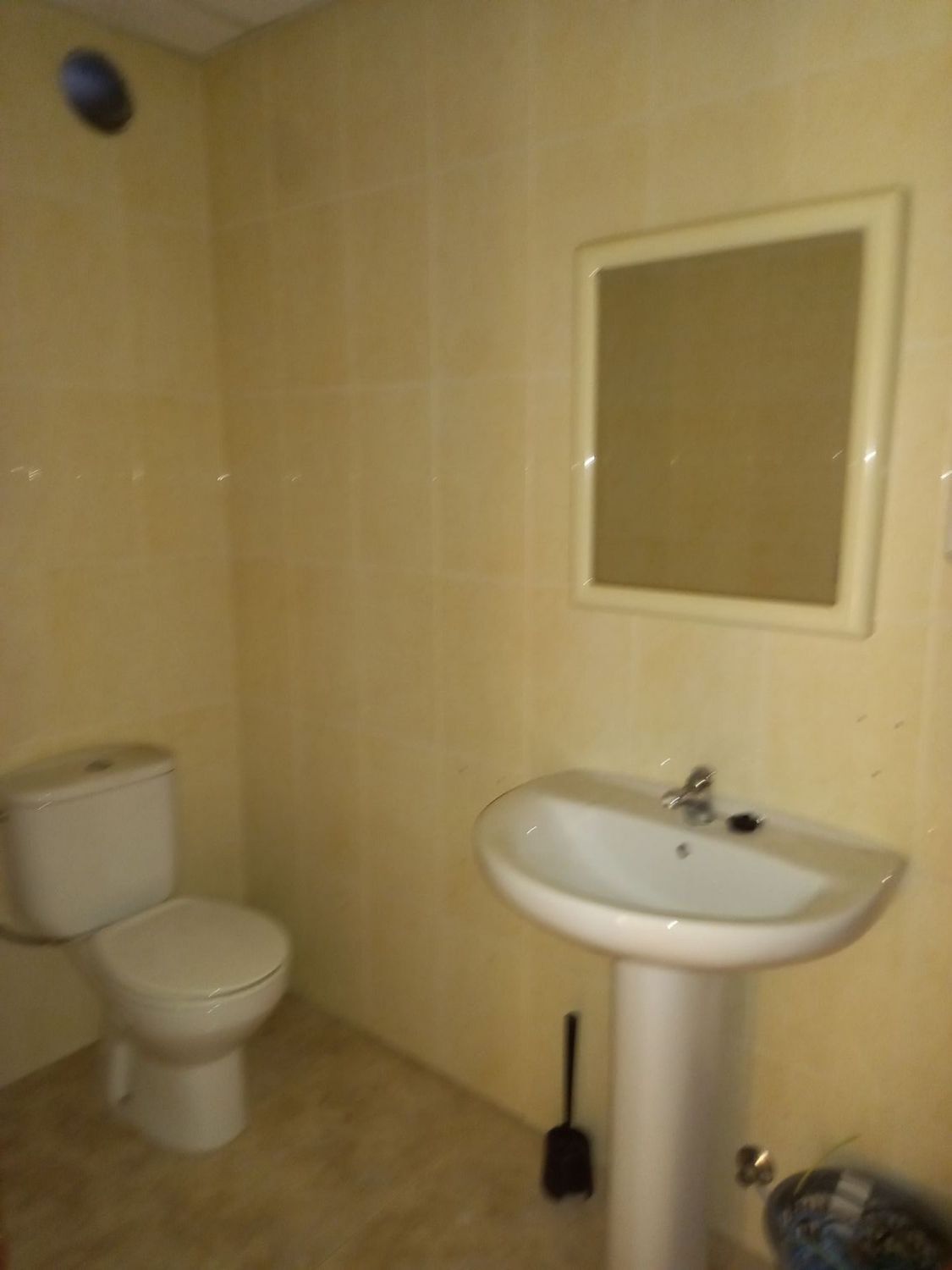 Oficinas-Alquiler-Santiago de Compostela-2418755-Foto-11