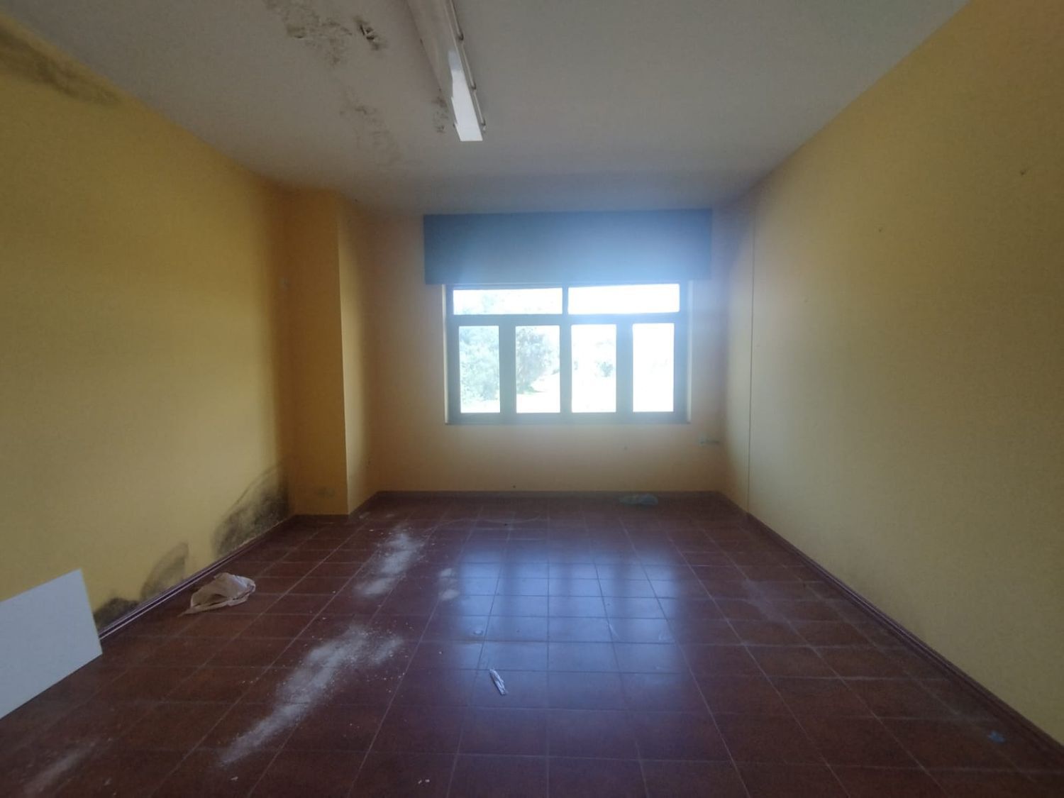 Casas o chalets-Venta-ValdoviÃ±o-2418764-Foto-4