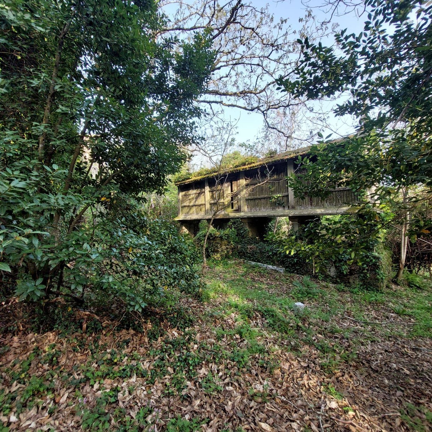Pisos-Venta-A Estrada-2418767-Foto-12