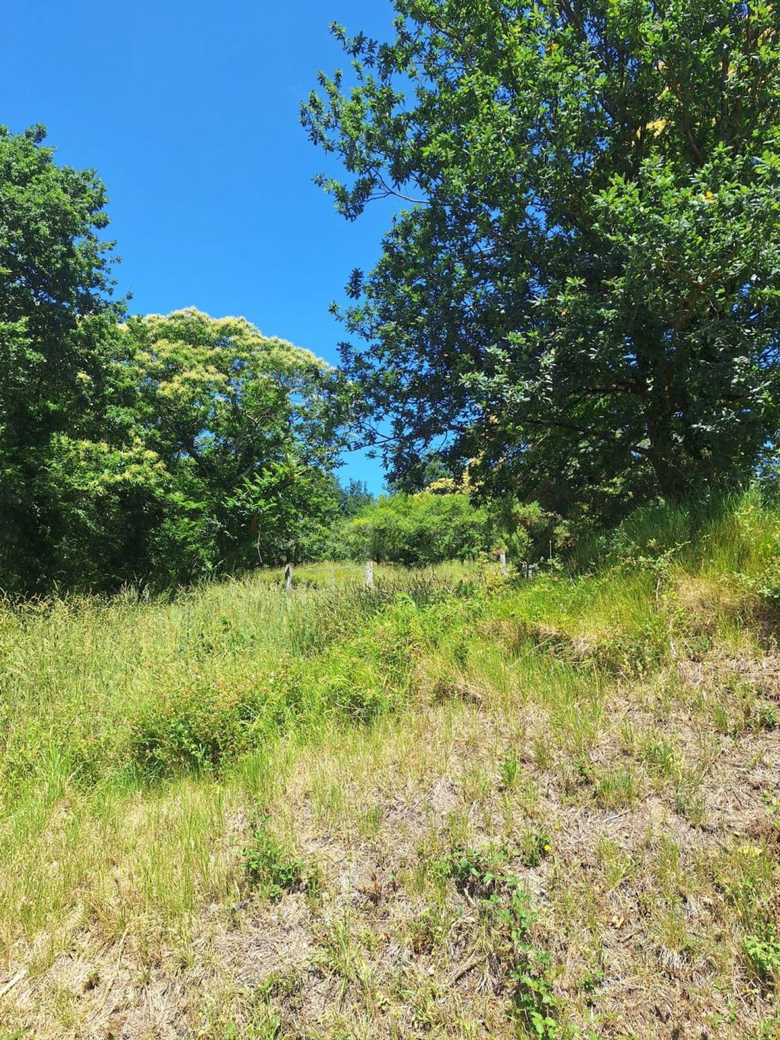 Fincas y solares-Alquiler-Culleredo-2418773-Foto-2