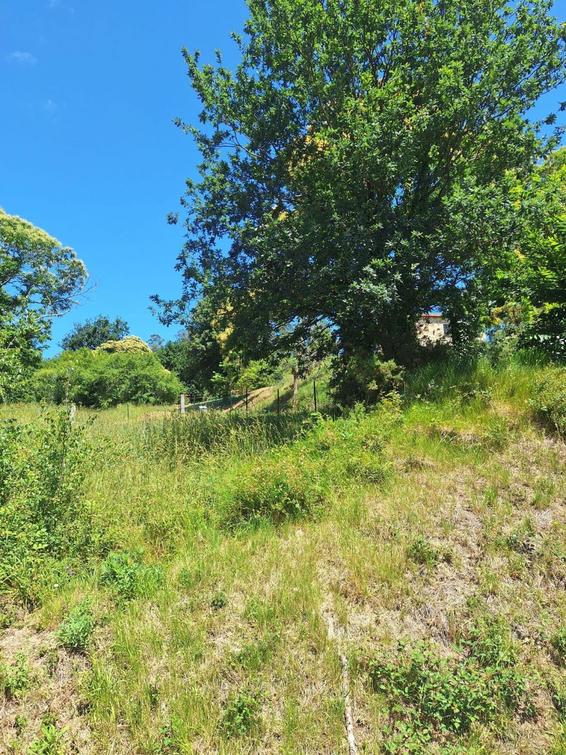 Fincas y solares-Alquiler-Culleredo-2418773-Foto-3