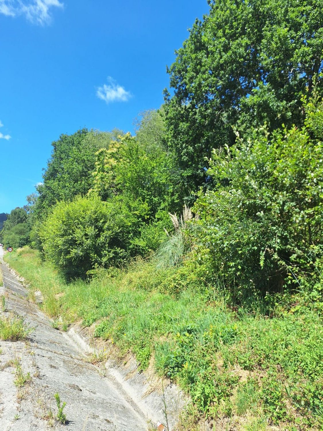 Fincas y solares-Alquiler-Culleredo-2418773-Foto-4