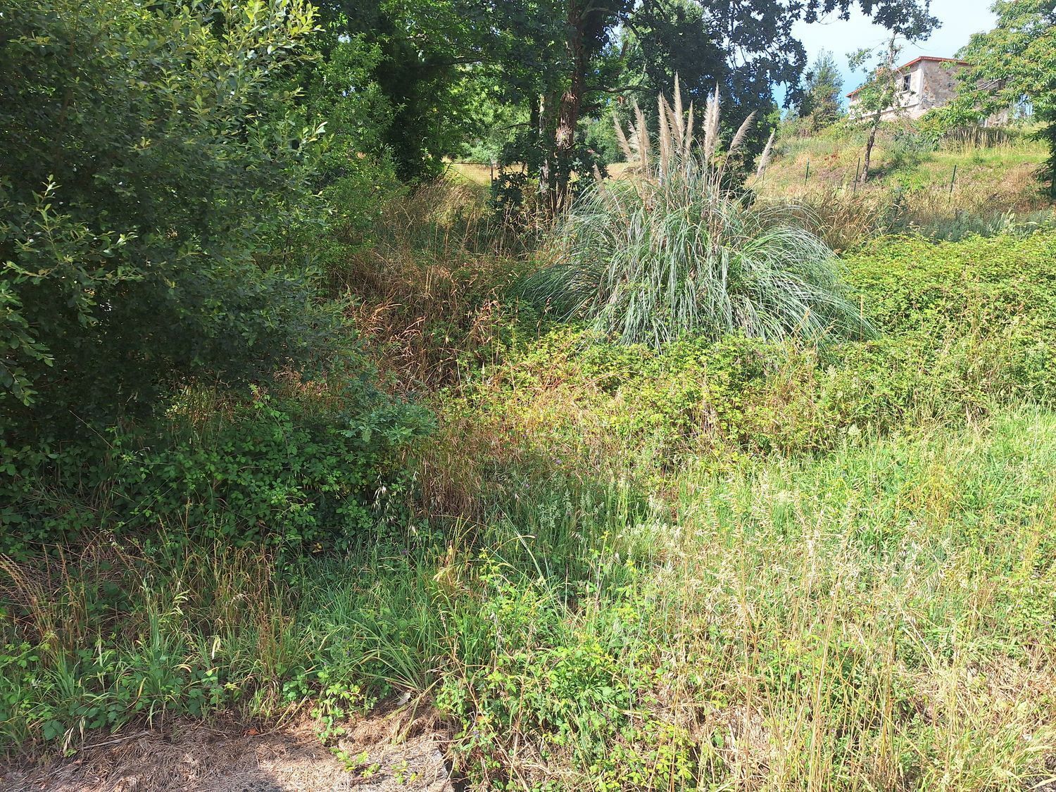 Fincas y solares-Alquiler-Culleredo-2418773-Foto-12