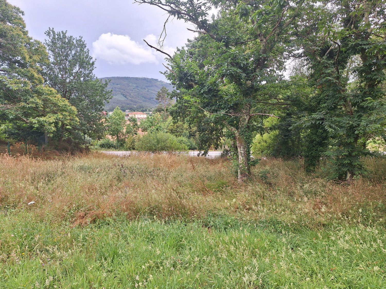 Fincas y solares-Alquiler-Culleredo-2418773-Foto-13