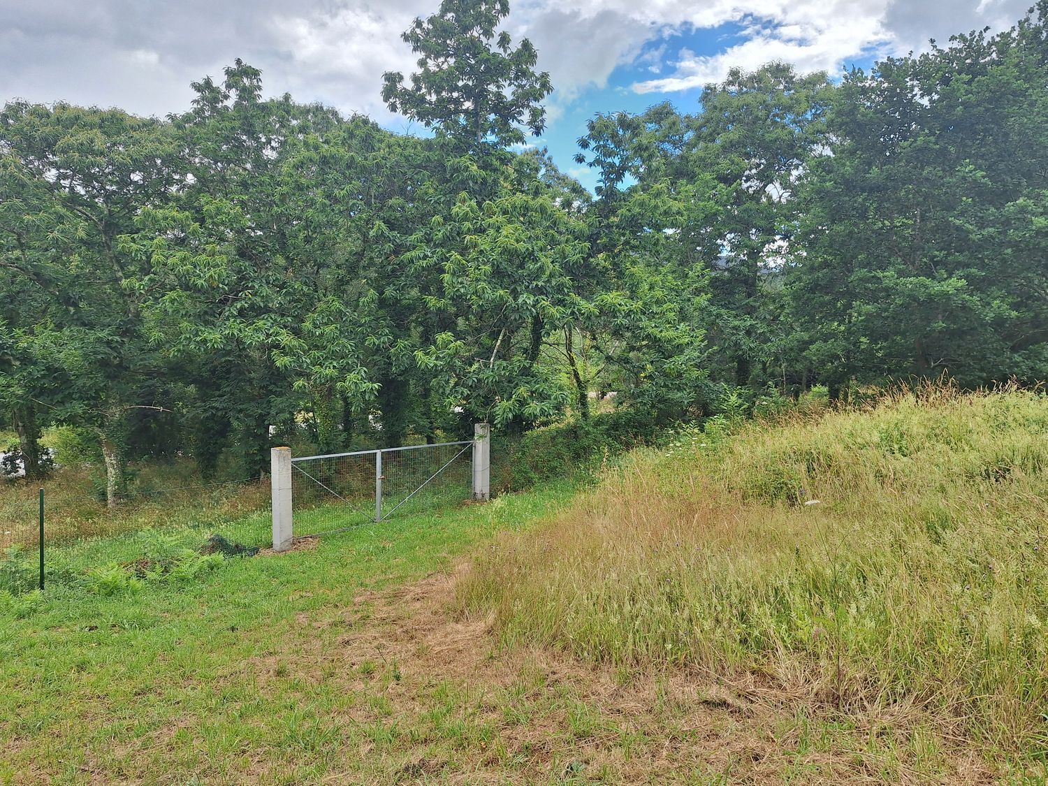 Fincas y solares-Alquiler-Culleredo-2418773-Foto-20