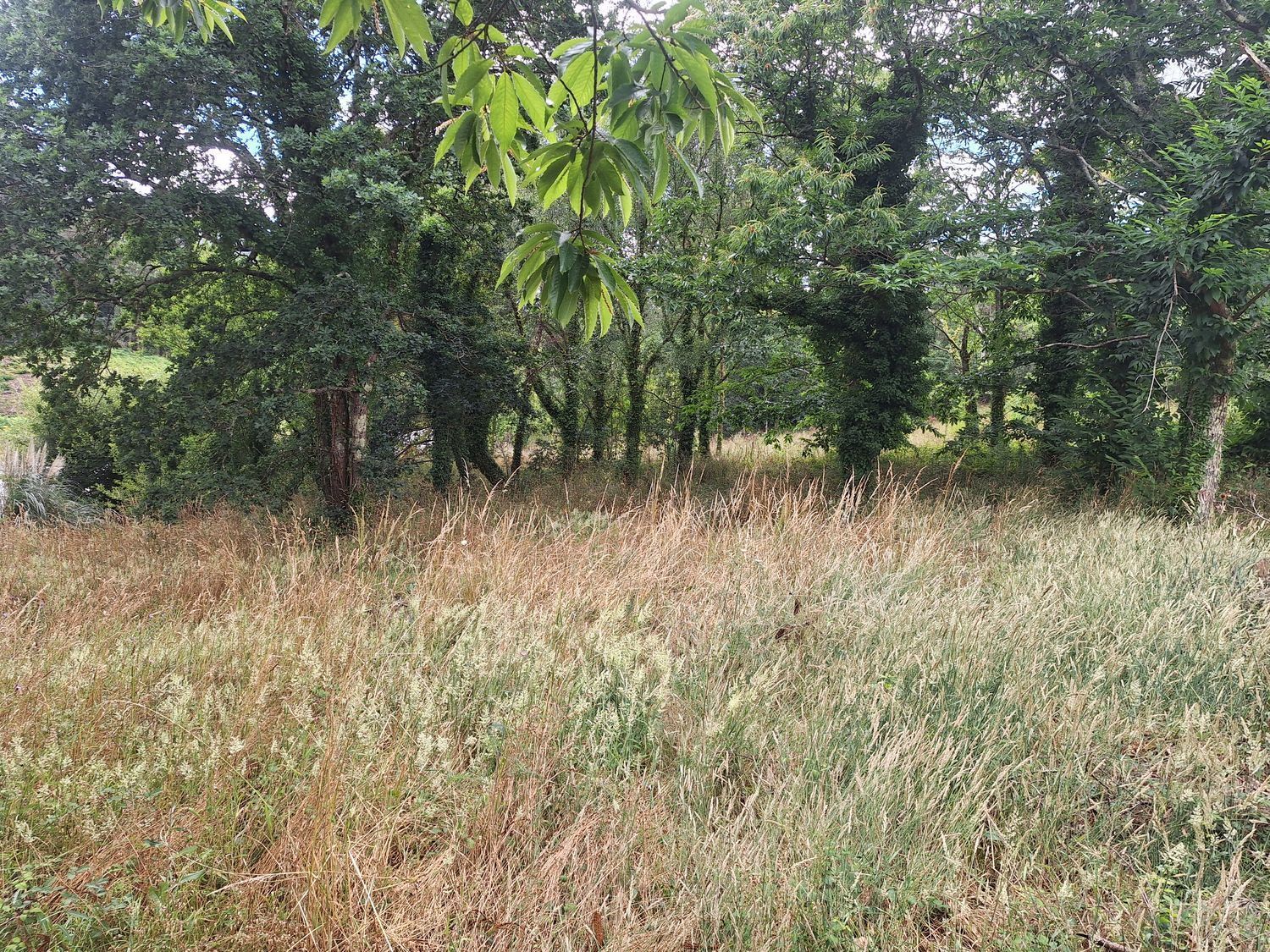 Fincas y solares-Alquiler-Culleredo-2418773-Foto-18