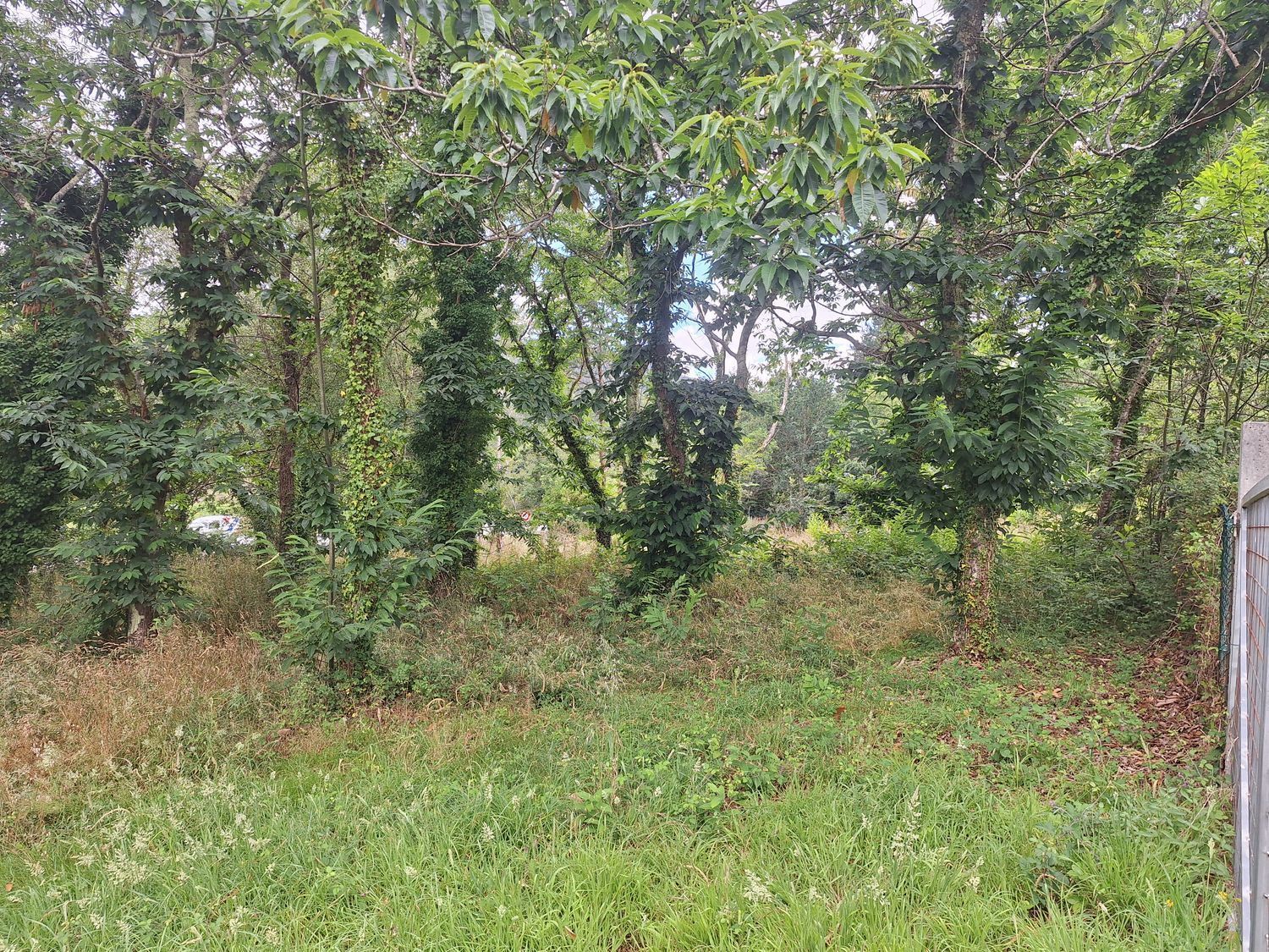 Fincas y solares-Alquiler-Culleredo-2418773-Foto-17