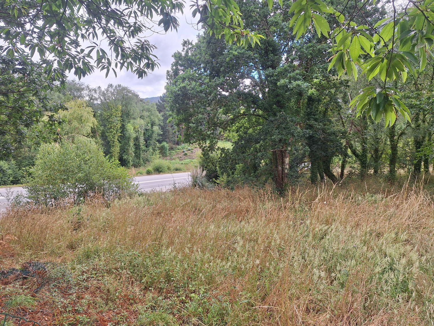 Fincas y solares-Alquiler-Culleredo-2418773-Foto-21