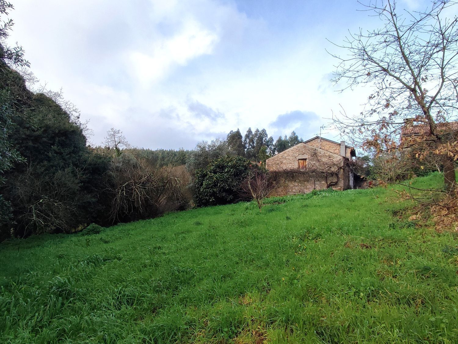 Casas o chalets-Venta-Arteixo-2418791-Foto-10