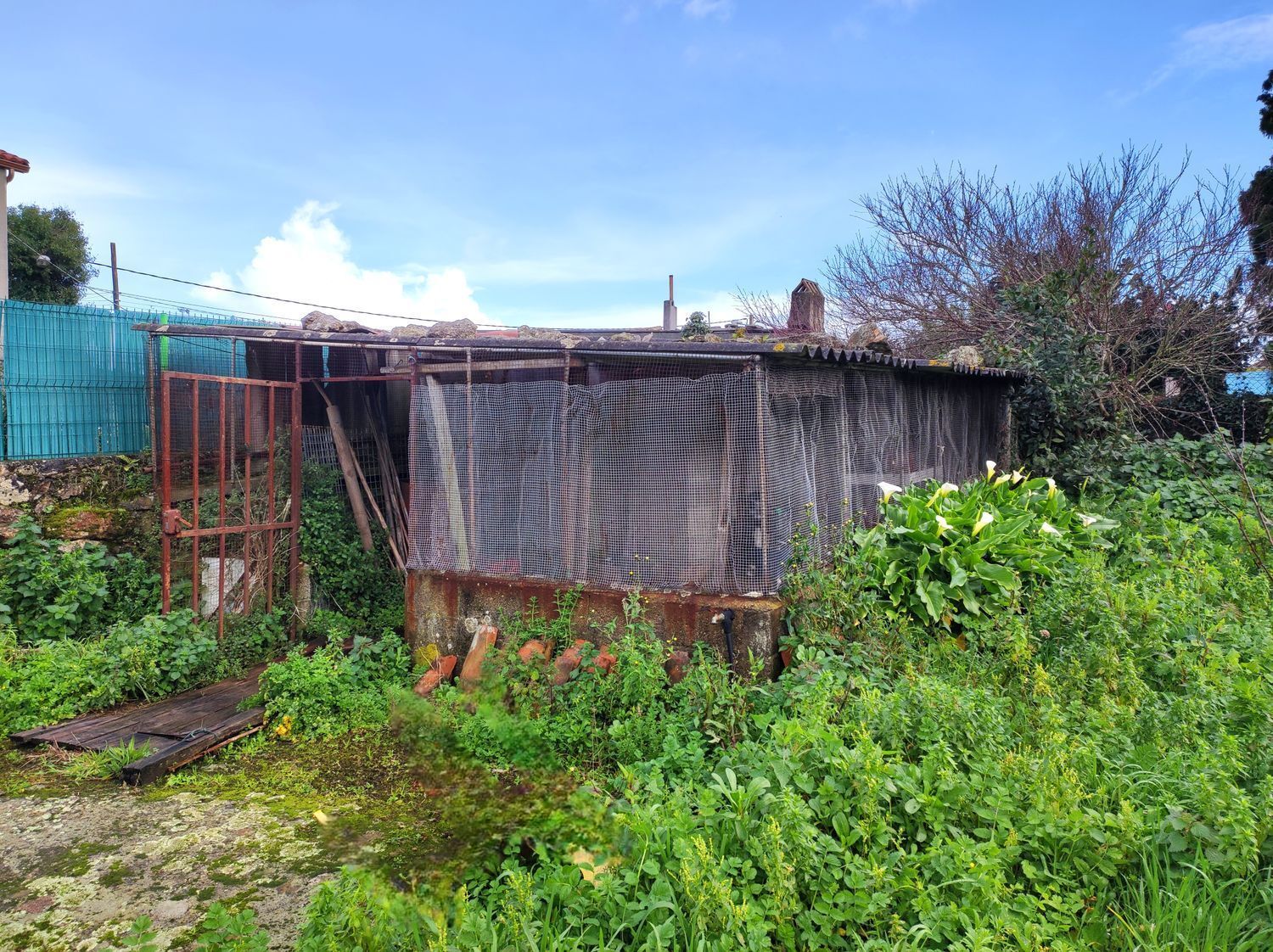 Casas o chalets-Venta-Arteixo-2418791-Foto-6