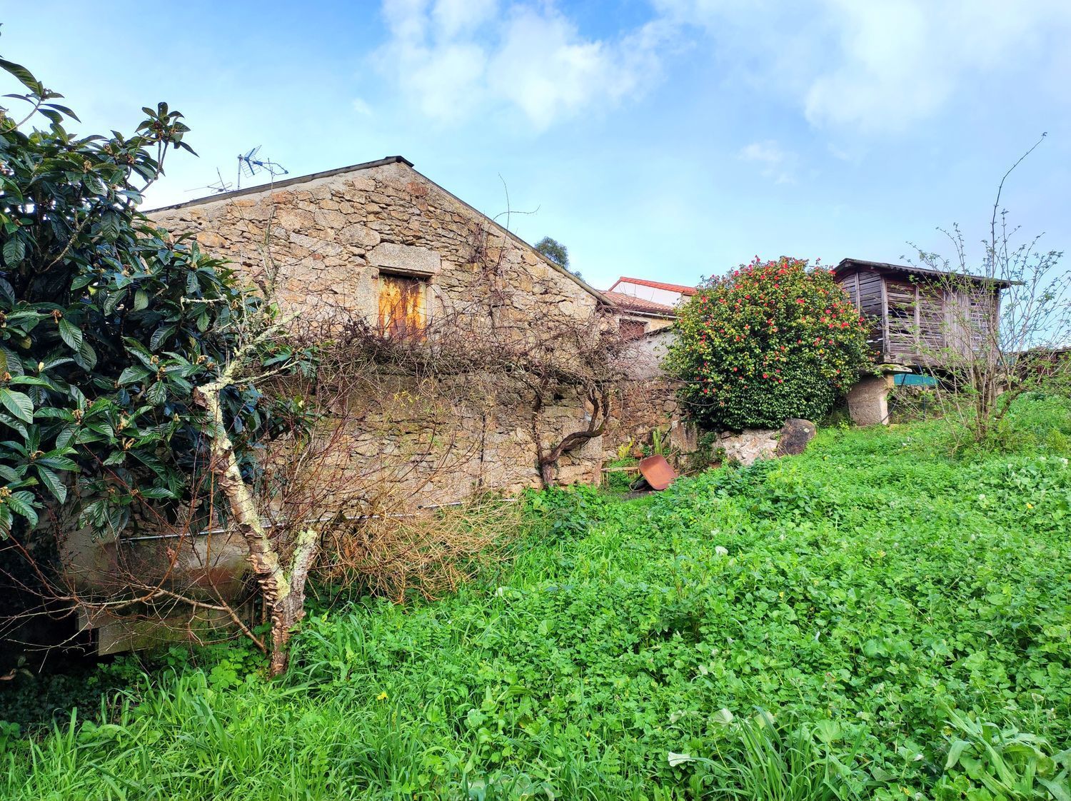 Casas o chalets-Venta-Arteixo-2418791-Foto-11