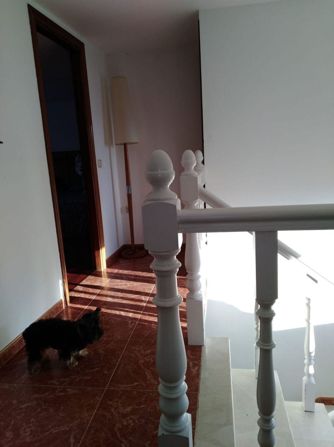 Pisos-Venta-Pontecesures-2418800-Foto-21