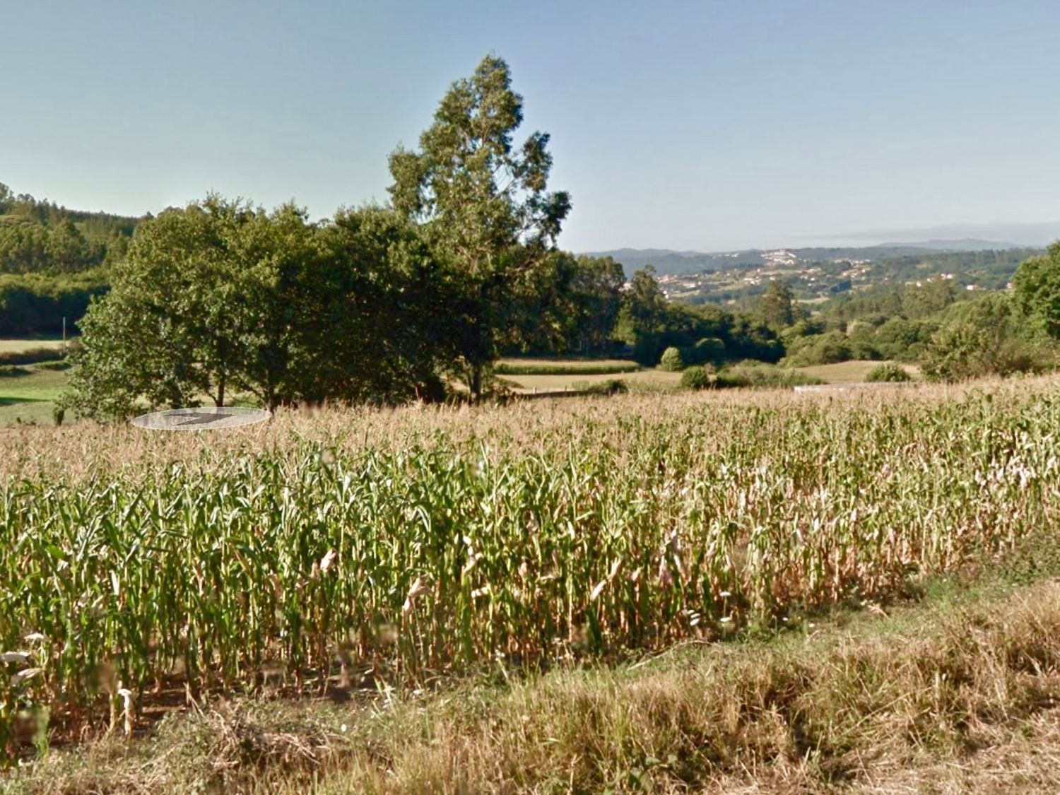 Fincas y solares-Venta-2418806