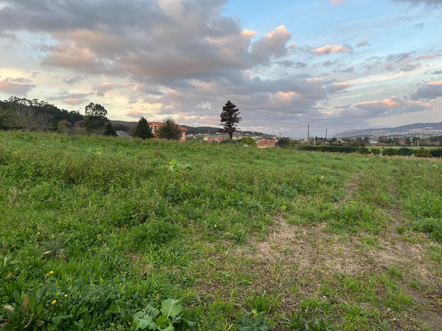 Fincas y solares-Venta-NarÃ³n-2418815-Foto-3