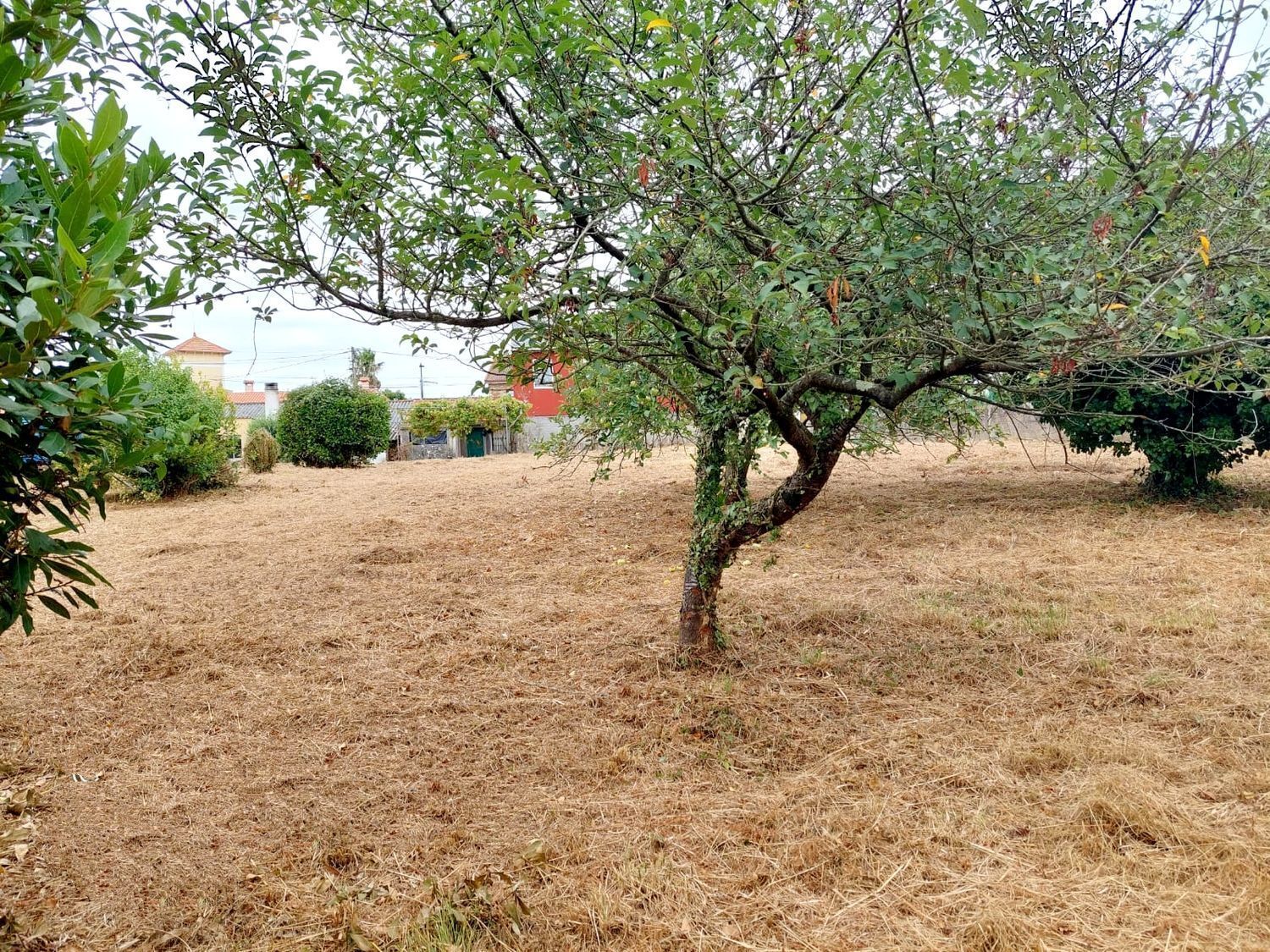 Casas o chalets-Venta-Culleredo-2418818-Foto-4