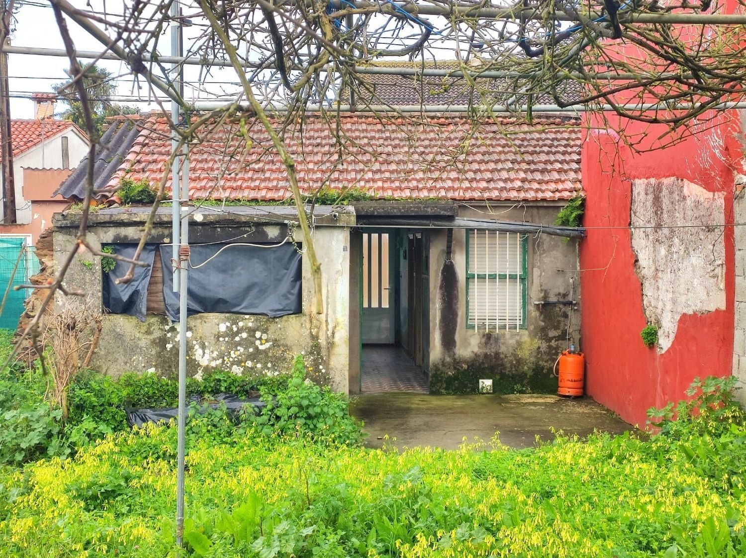Casas o chalets-Venta-Culleredo-2418818-Foto-3