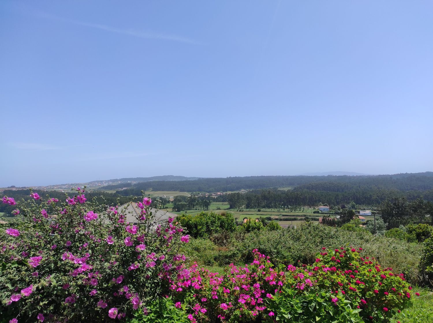 Casas o chalets-Venta-Malpica de BergantiÃ±os-2418833-Foto-50