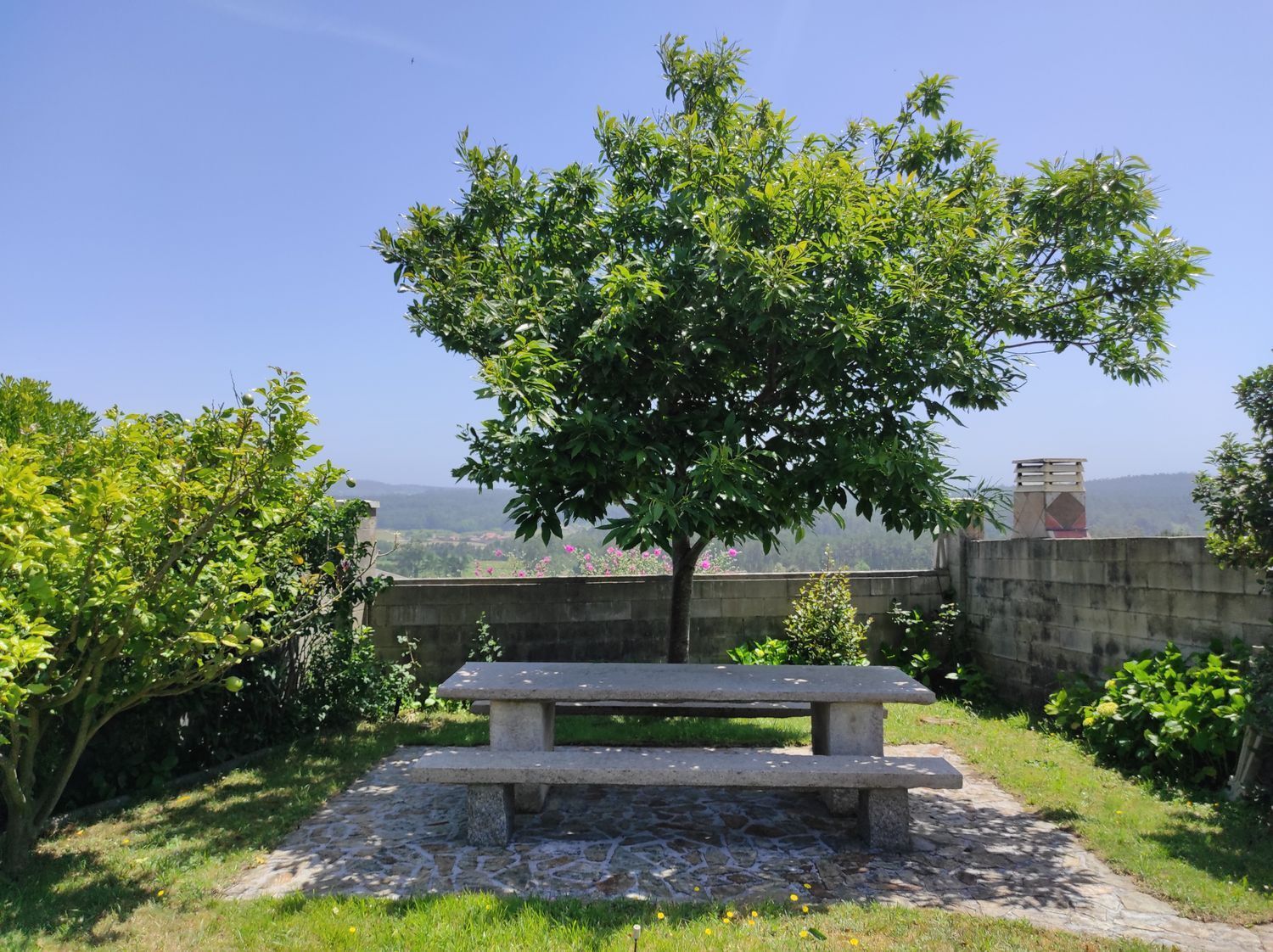 Casas o chalets-Venta-Malpica de BergantiÃ±os-2418833-Foto-64