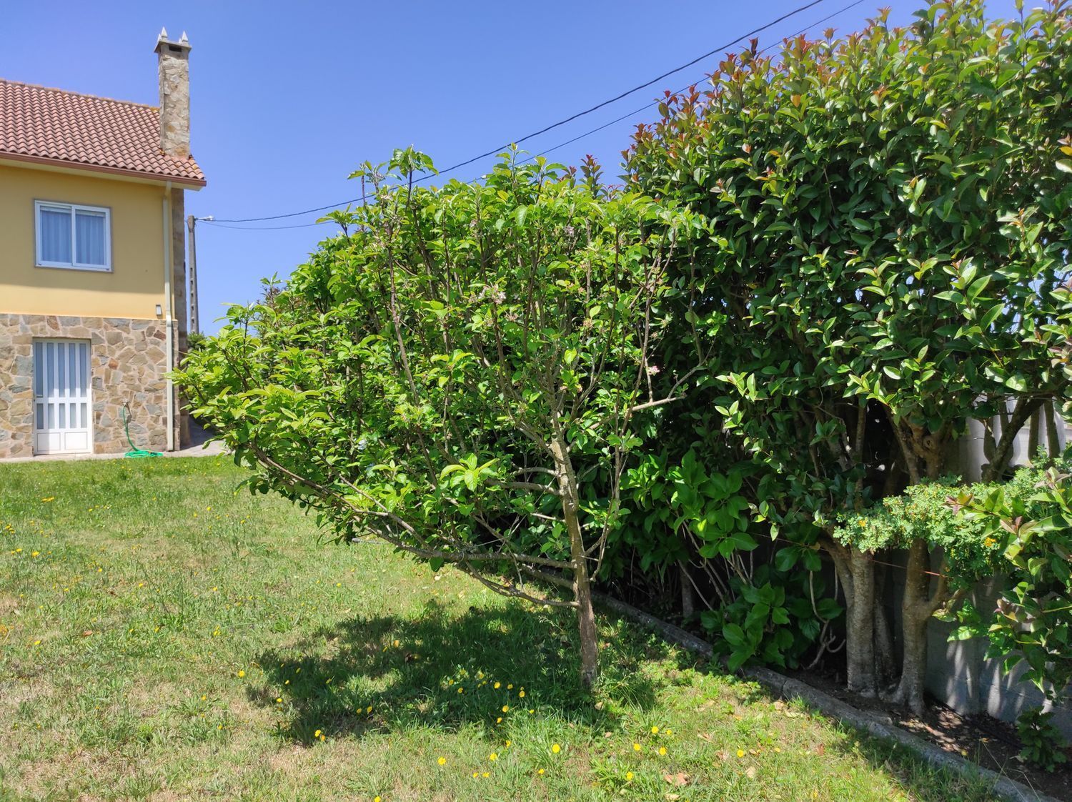 Casas o chalets-Venta-Malpica de BergantiÃ±os-2418833-Foto-69