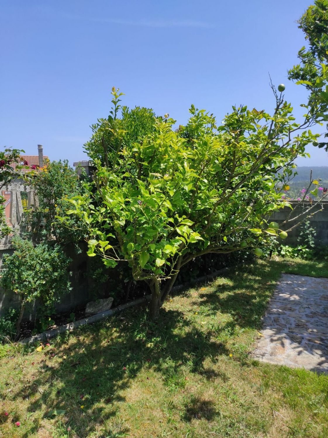 Casas o chalets-Venta-Malpica de BergantiÃ±os-2418833-Foto-68