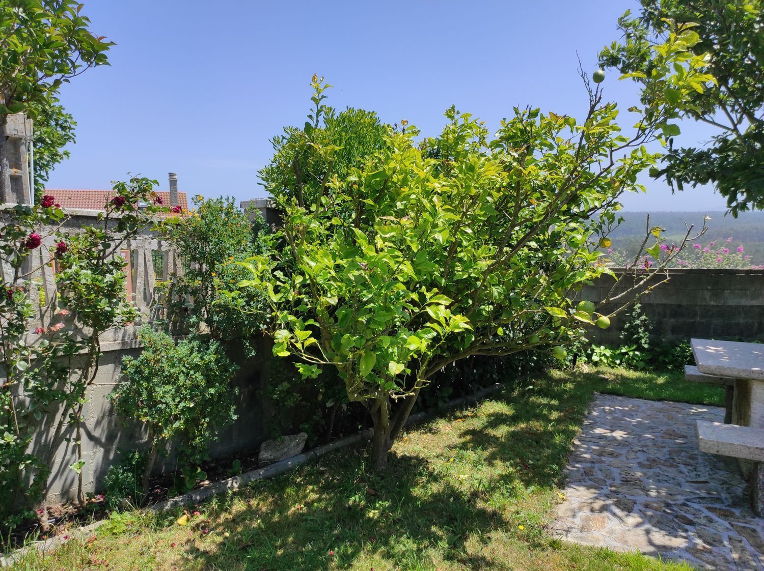 Casas o chalets-Venta-Malpica de BergantiÃ±os-2418833-Foto-72