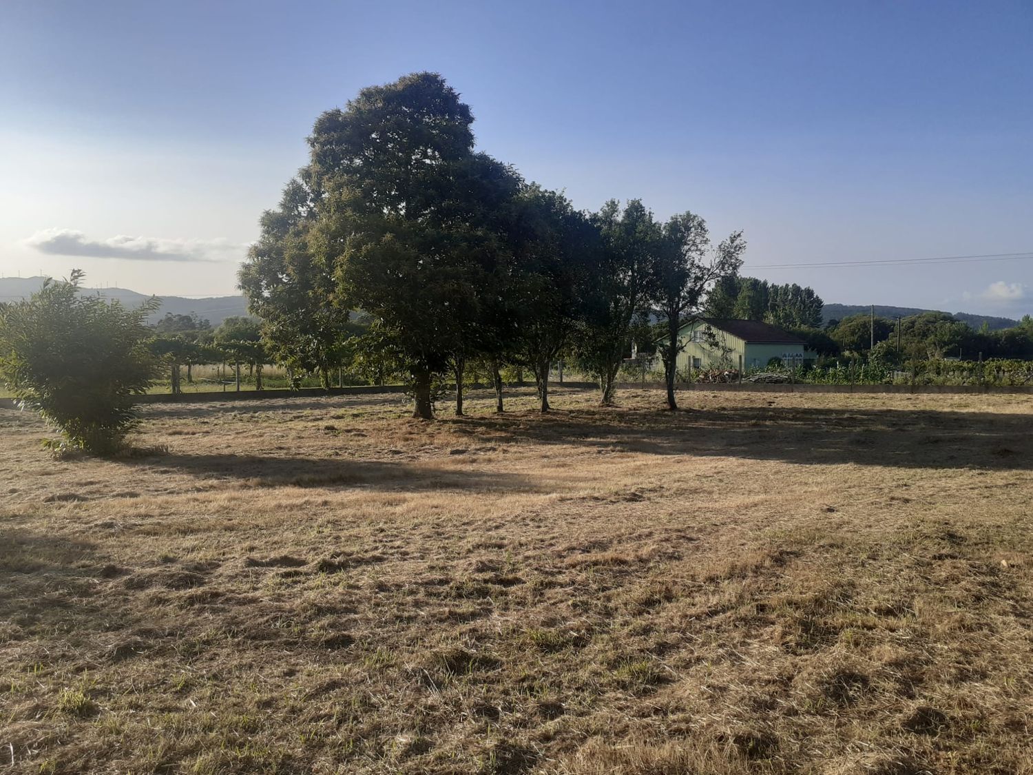 Pisos-Venta-Valga-2418839-Foto-3