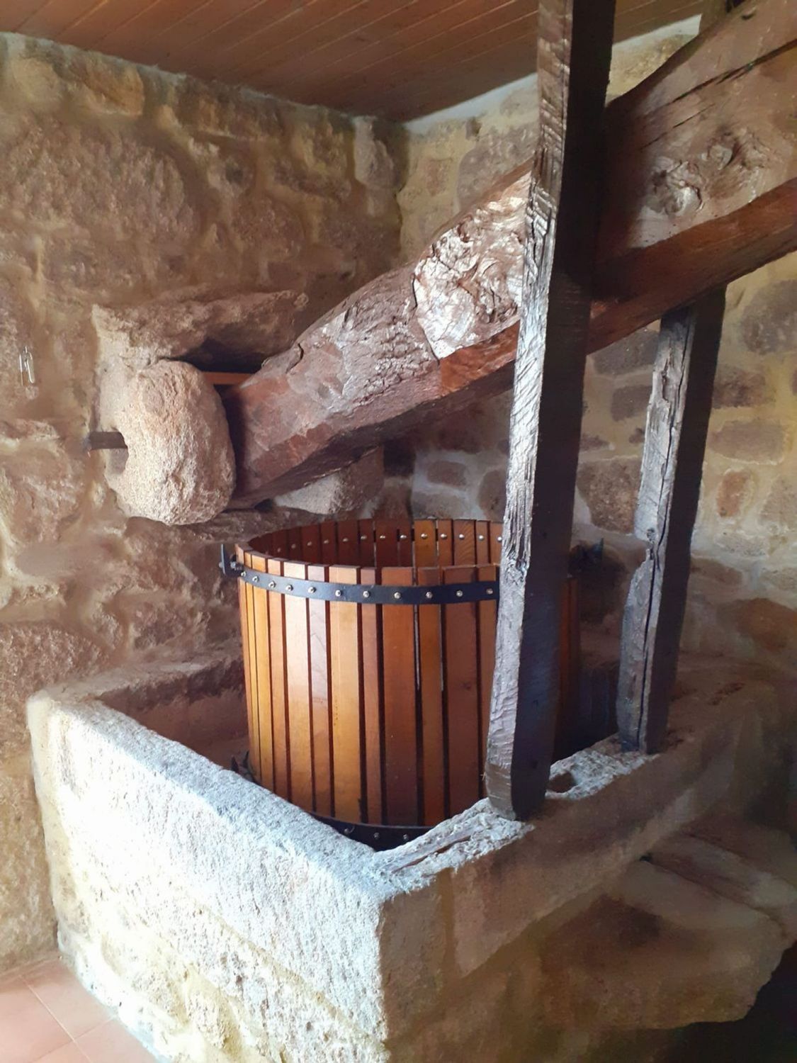 Pisos-Venta-Valga-2418839-Foto-7