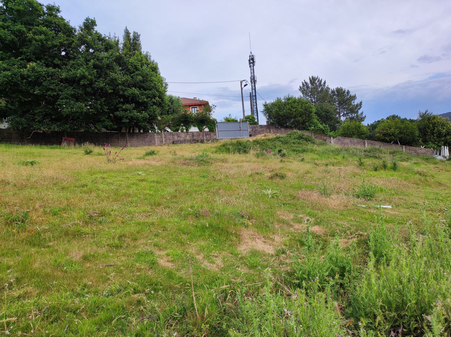 Fincas y solares-Venta-Culleredo-2418845-Foto-4