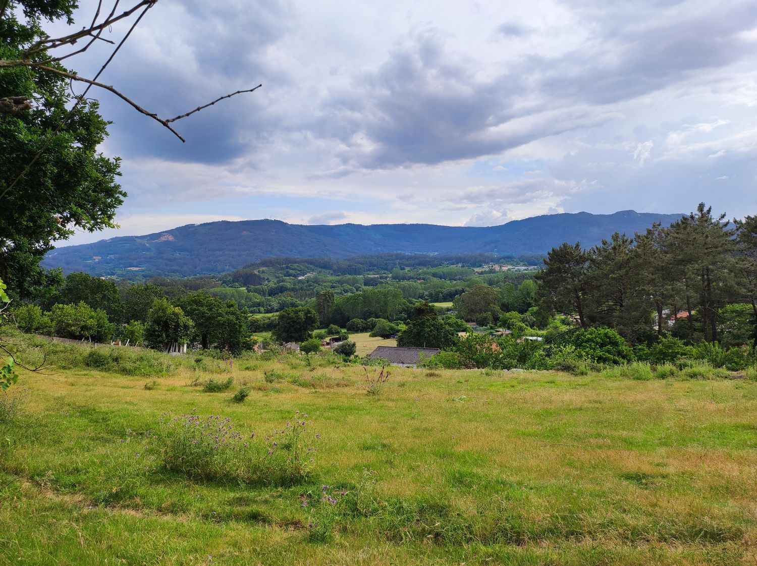 Fincas y solares-Venta-Culleredo-2418845-Foto-2