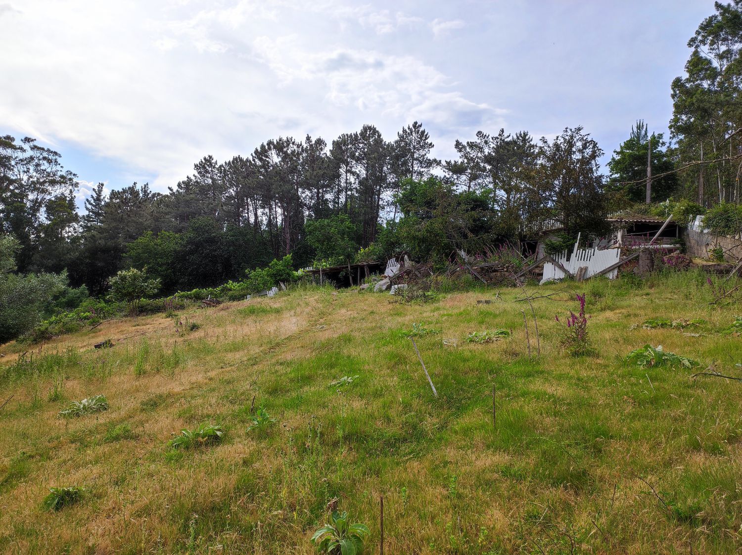 Fincas y solares-Venta-Culleredo-2418845-Foto-6