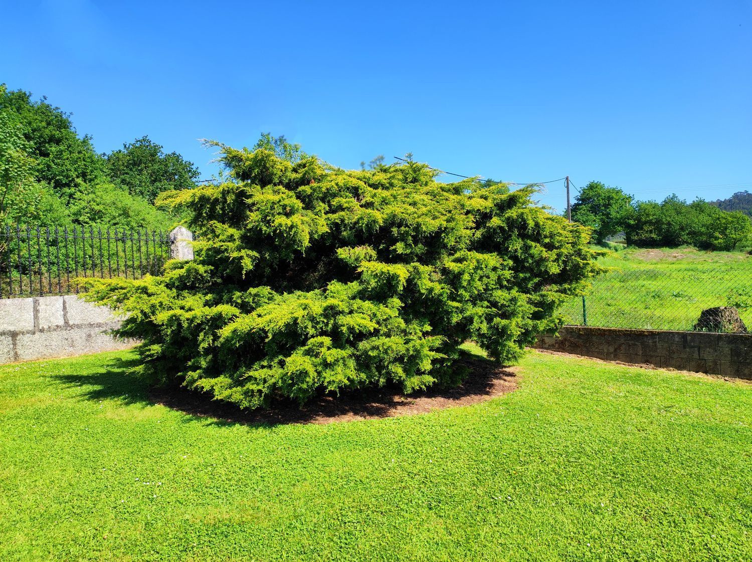 Casas o chalets-Venta-Culleredo-2418878-Foto-18