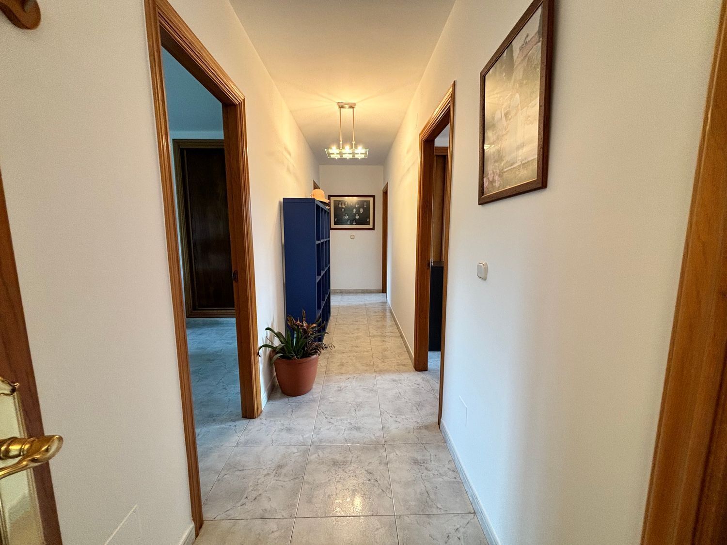Casas o chalets-Venta-ArzÃºa-2418908-Foto-15