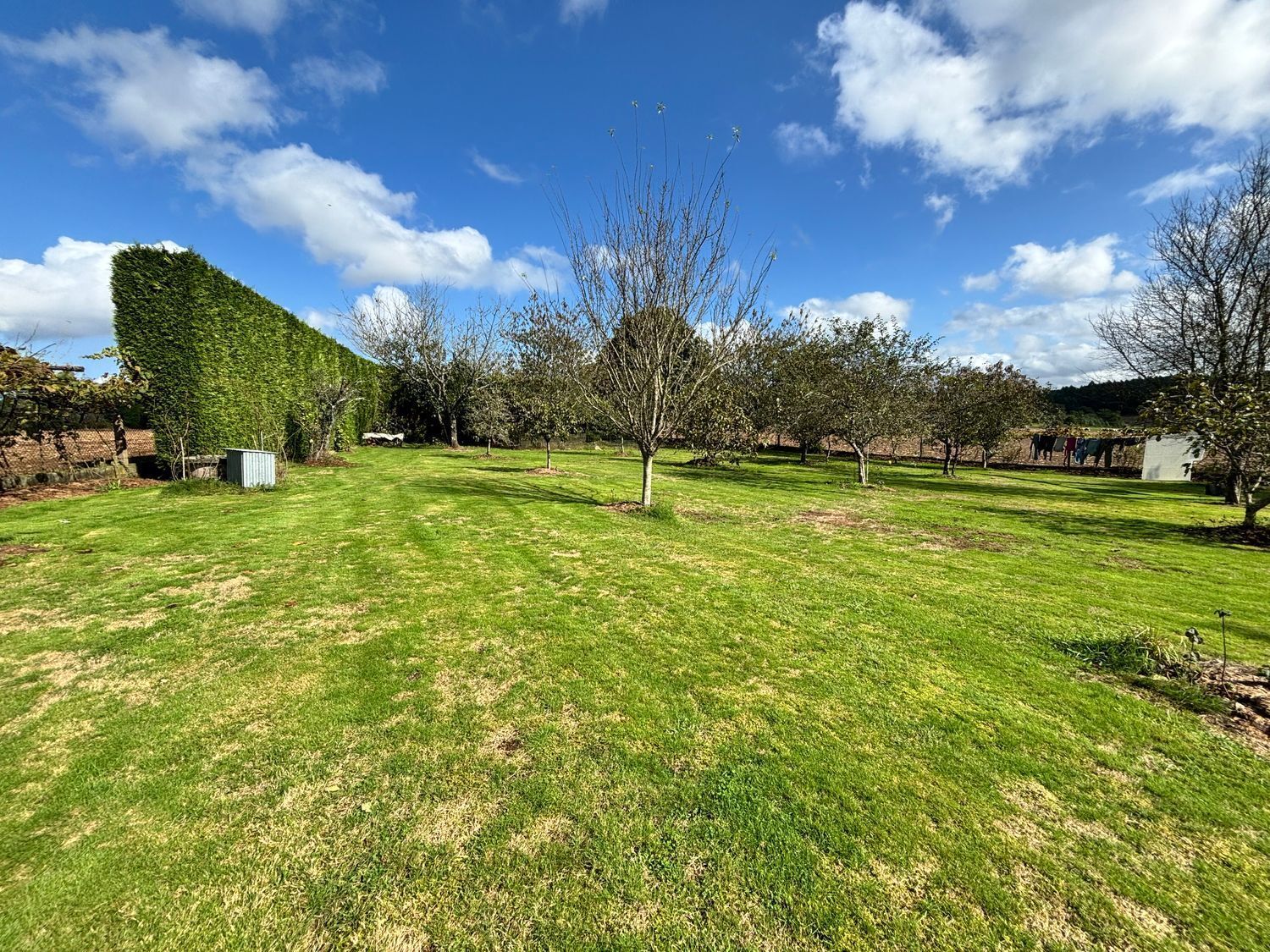 Casas o chalets-Venta-ArzÃºa-2418908-Foto-43